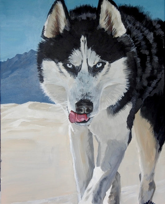 Koda